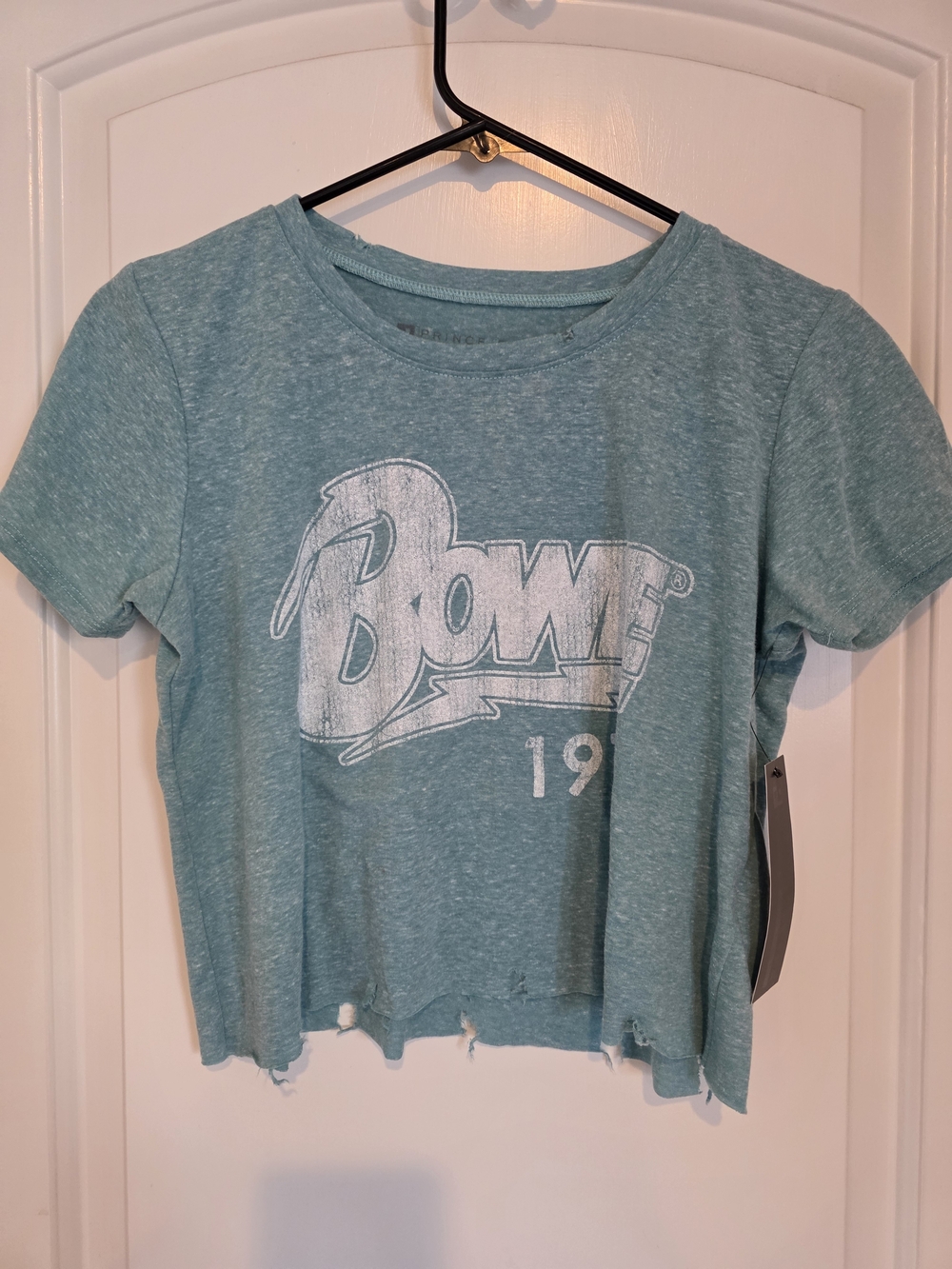 Prince Peter Collection Teal Bowie Cropped Tee